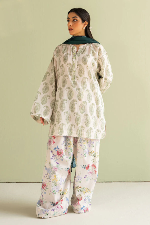 Zara Shahjahan - Coco-D6-B Paisley